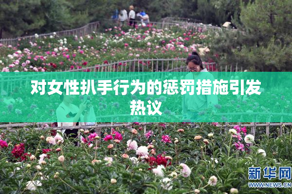 对女性扒手行为的惩罚措施引发热议