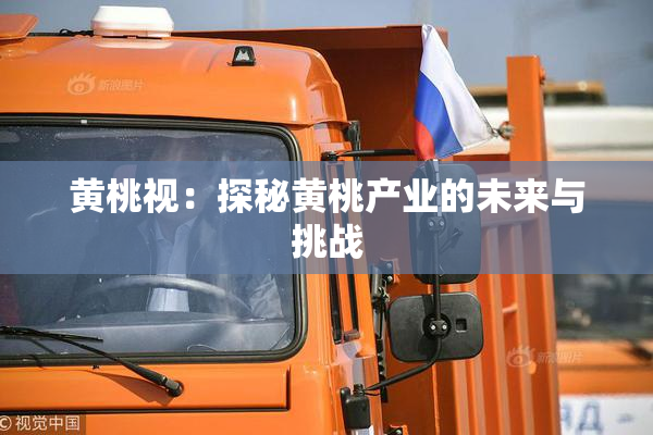 黄桃视：探秘黄桃产业的未来与挑战