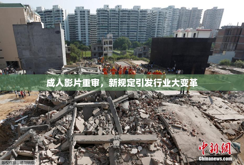 成人影片重审，新规定引发行业大变革