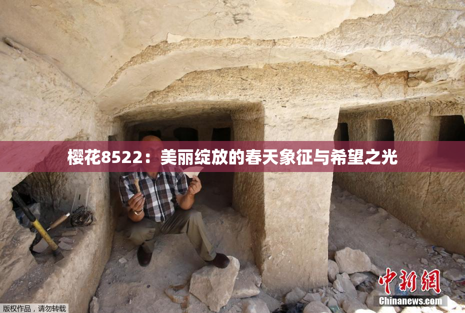 樱花8522：美丽绽放的春天象征与希望之光