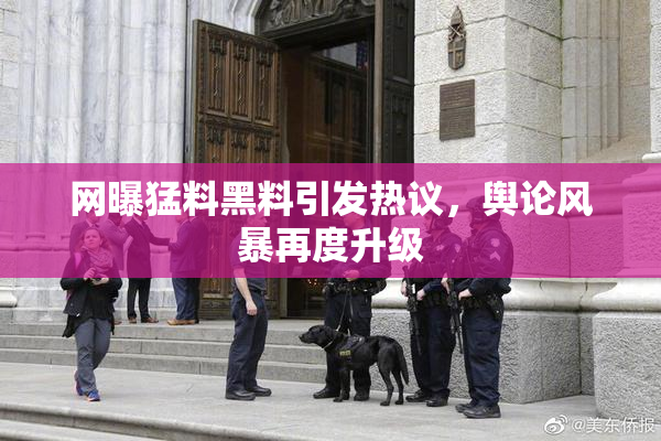 网曝猛料黑料引发热议，舆论风暴再度升级