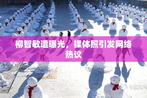柳智敏遭曝光，裸体照引发网络热议