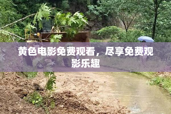 黄色电影免费观看，尽享免费观影乐趣