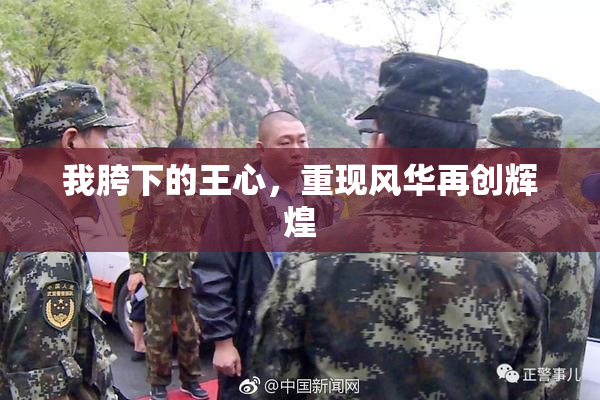 我胯下的王心，重现风华再创辉煌