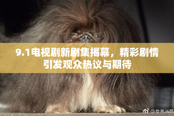 9.1电视剧新剧集揭幕，精彩剧情引发观众热议与期待