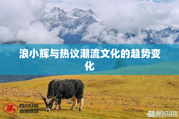 浪小辉与热议潮流文化的趋势变化