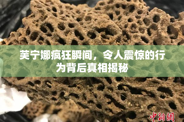 芙宁娜疯狂瞬间，令人震惊的行为背后真相揭秘