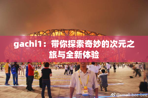 gachi1：带你探索奇妙的次元之旅与全新体验