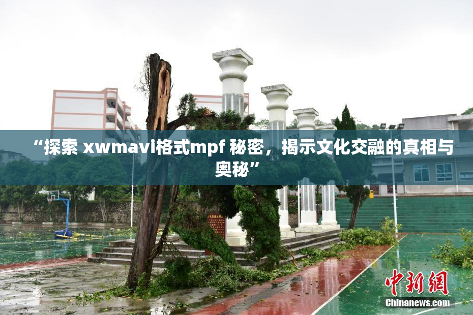 “探索 xwmavi格式mpf 秘密，揭示文化交融的真相与奥秘”