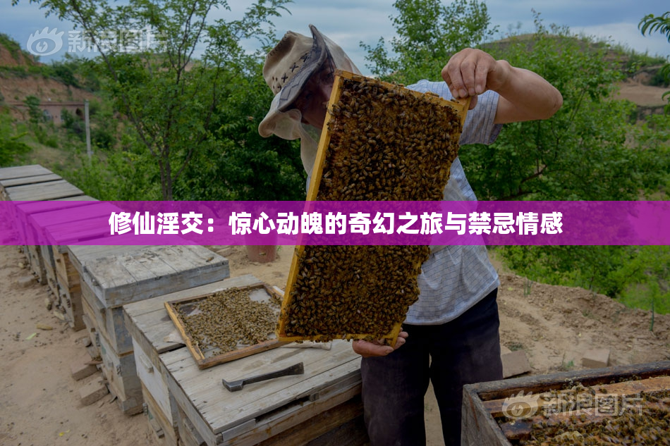 修仙淫交：惊心动魄的奇幻之旅与禁忌情感