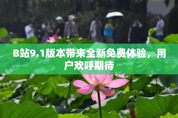 B站9.1版本带来全新免费体验，用户欢呼期待