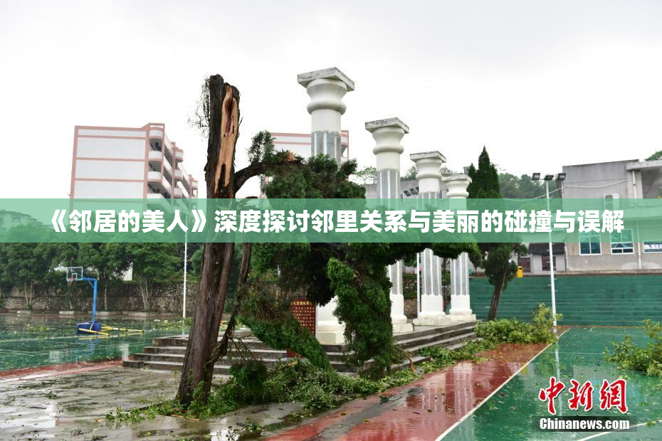 《邻居的美人》深度探讨邻里关系与美丽的碰撞与误解