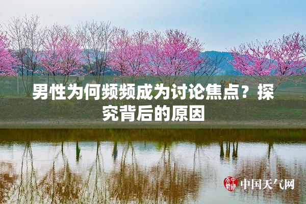 男性为何频频成为讨论焦点？探究背后的原因