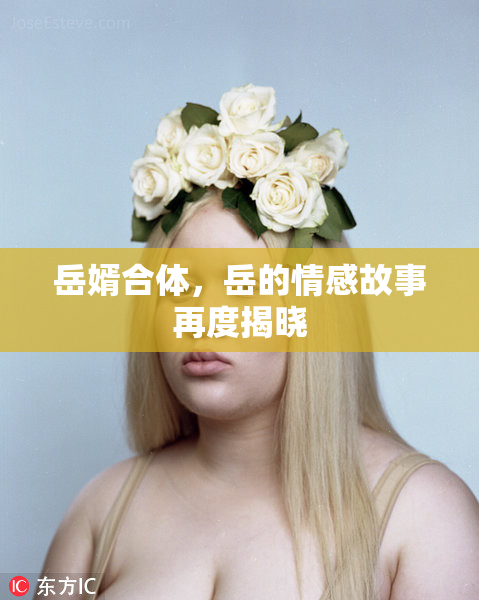 岳婿合体，岳的情感故事再度揭晓