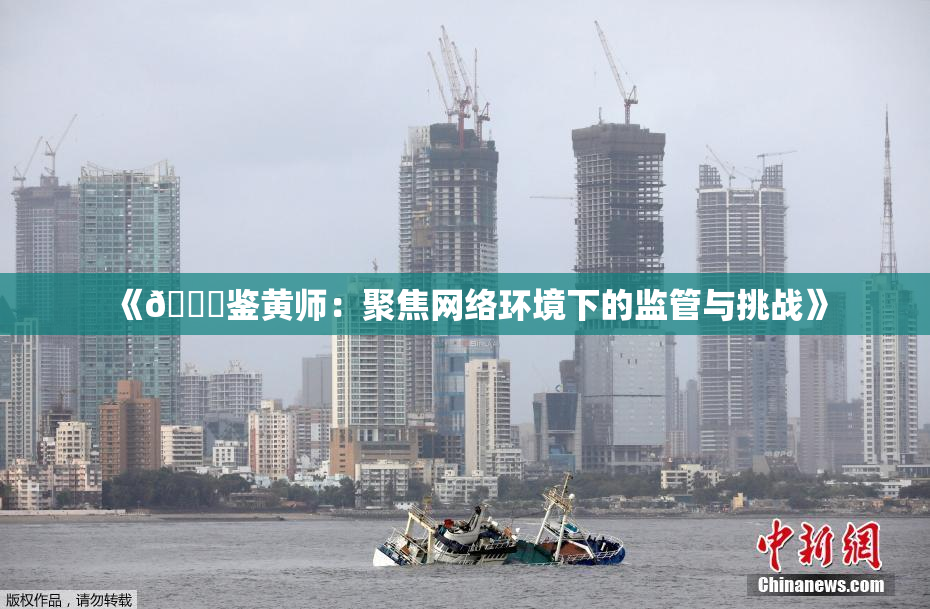《🔞鉴黄师：聚焦网络环境下的监管与挑战》