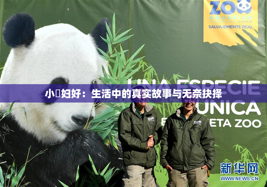 小婬妇好：生活中的真实故事与无奈抉择