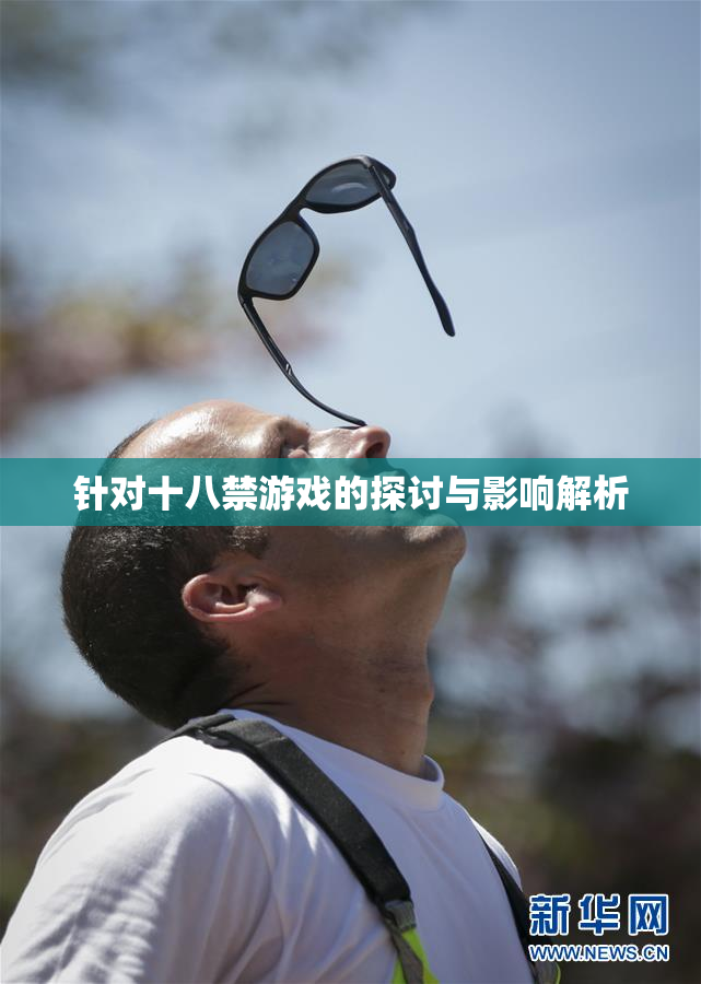 针对十八禁游戏的探讨与影响解析