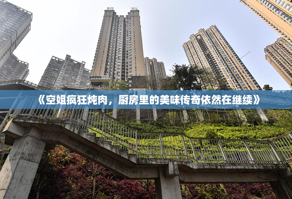 《空姐疯狂炖肉，厨房里的美味传奇依然在继续》