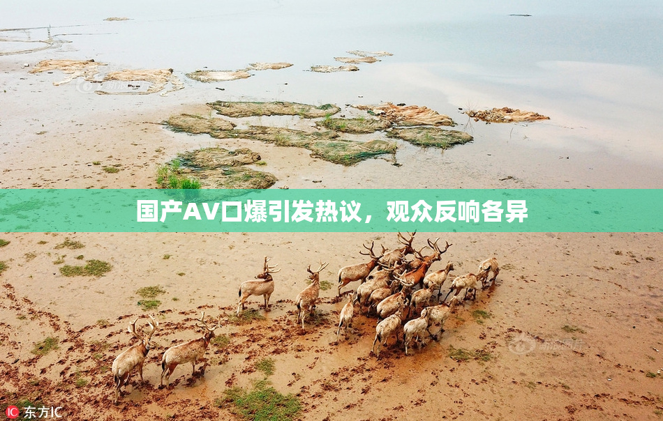 国产AV口爆引发热议，观众反响各异