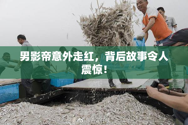 男影帝意外走红，背后故事令人震惊！