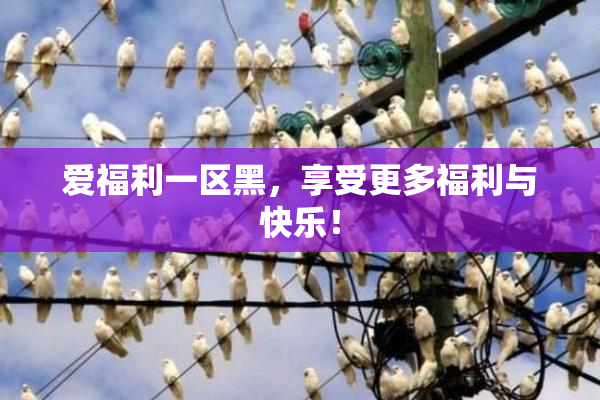 爱福利一区黑，享受更多福利与快乐！