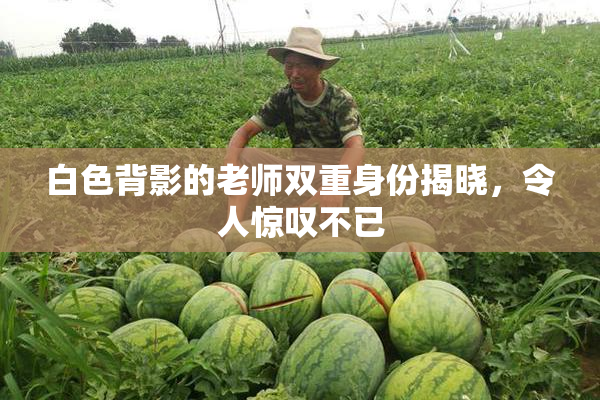 白色背影的老师双重身份揭晓，令人惊叹不已