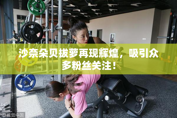 沙奈朵贝拔萝再现辉煌，吸引众多粉丝关注！