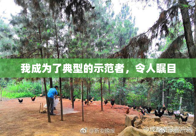 我成为了典型的示范者，令人瞩目