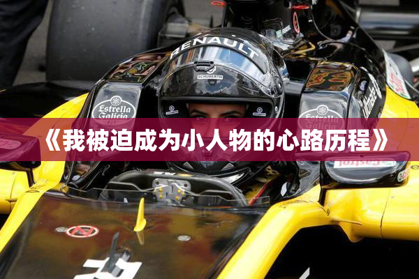 《我被迫成为小人物的心路历程》