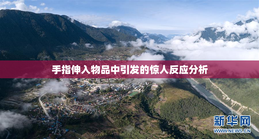 手指伸入物品中引发的惊人反应分析