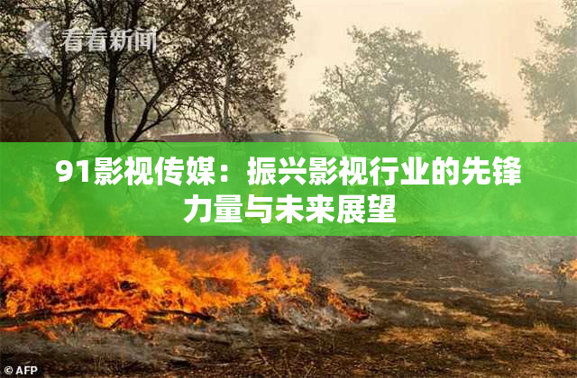 91影视传媒：振兴影视行业的先锋力量与未来展望