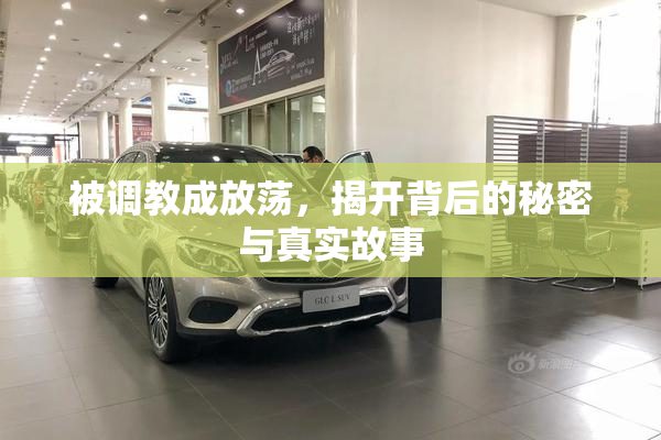被调教成放荡，揭开背后的秘密与真实故事