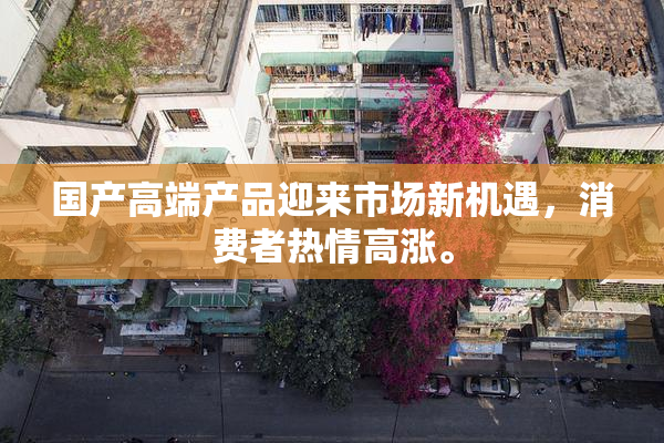 国产高端产品迎来市场新机遇，消费者热情高涨。