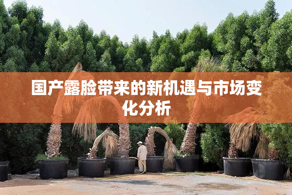 国产露脸带来的新机遇与市场变化分析