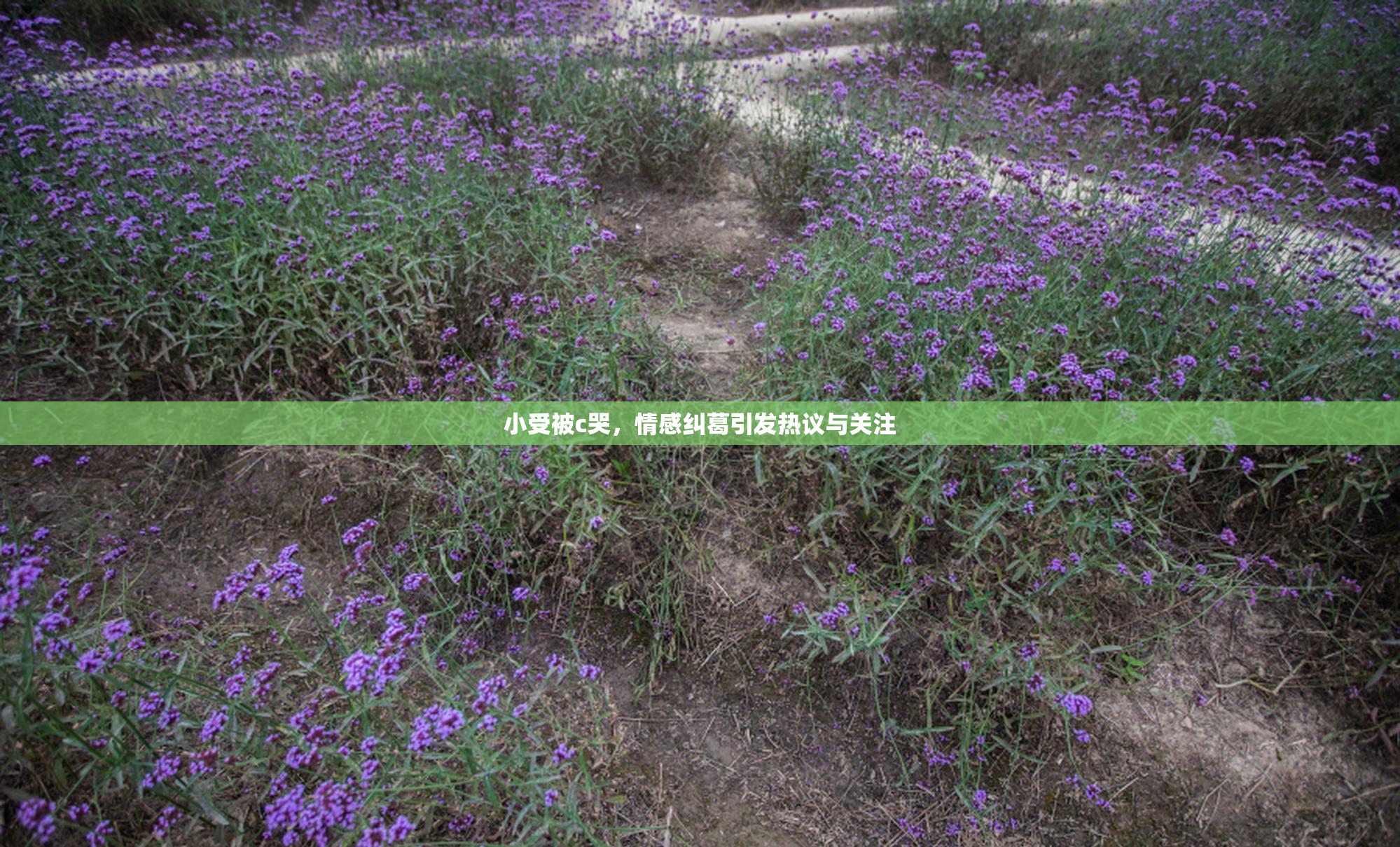小受被c哭，情感纠葛引发热议与关注