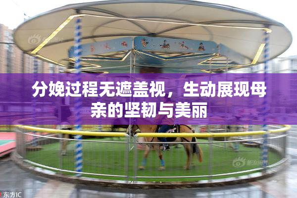 分娩过程无遮盖视，生动展现母亲的坚韧与美丽