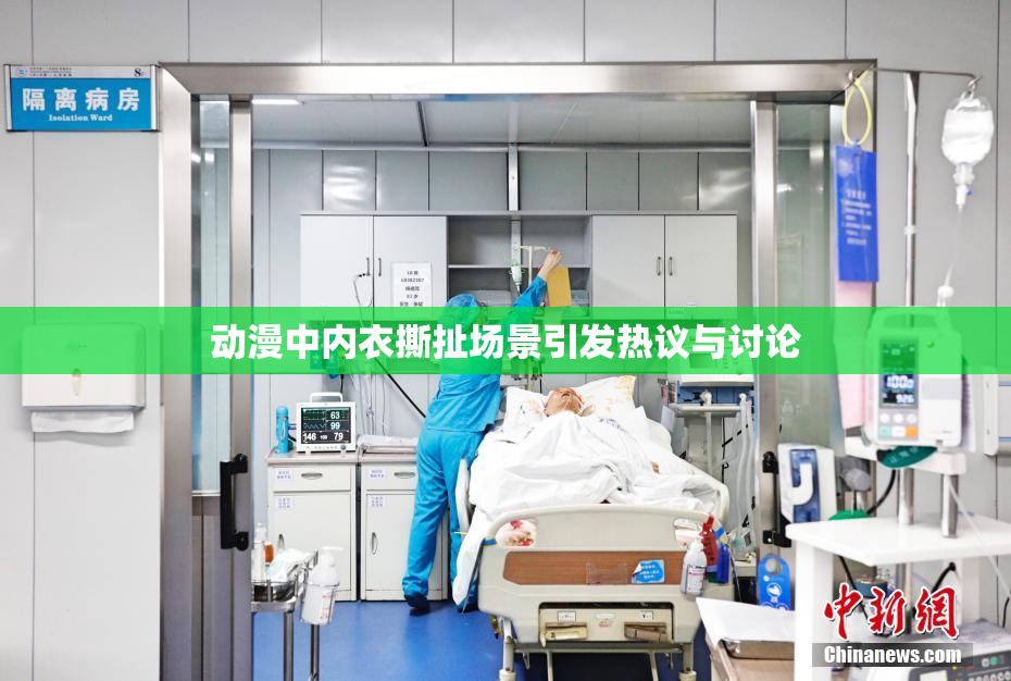 动漫中内衣撕扯场景引发热议与讨论