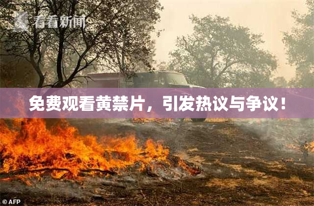 免费观看黄禁片，引发热议与争议！