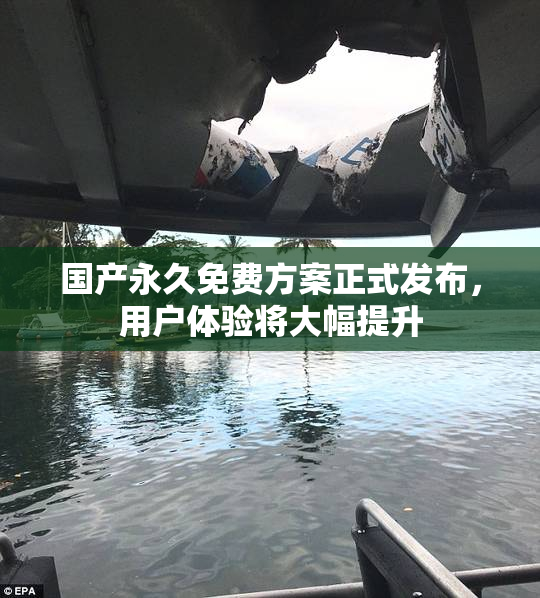 国产永久免费方案正式发布，用户体验将大幅提升