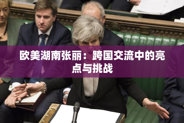 欧美湖南张丽：跨国交流中的亮点与挑战