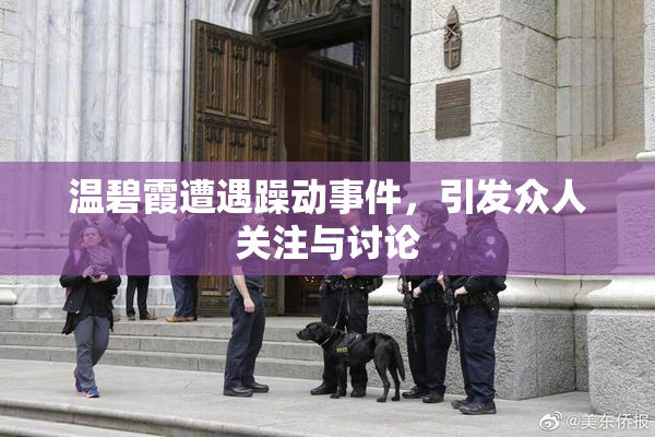 温碧霞遭遇躁动事件，引发众人关注与讨论