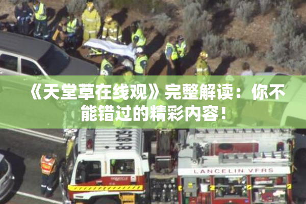 《天堂草在线观》完整解读：你不能错过的精彩内容！