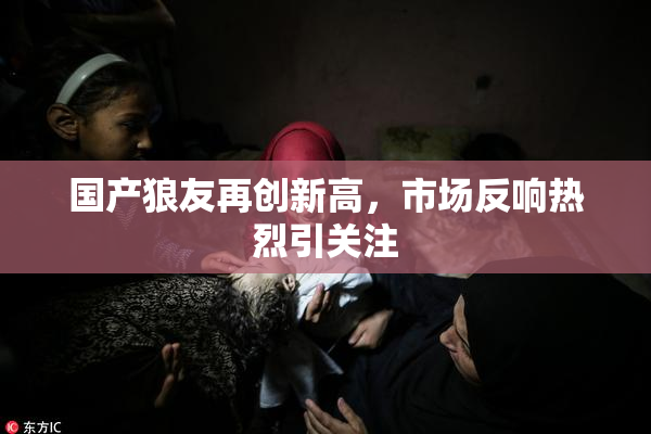 国产狼友再创新高，市场反响热烈引关注