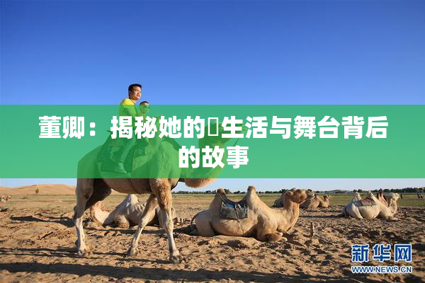 董卿：揭秘她的婬生活与舞台背后的故事
