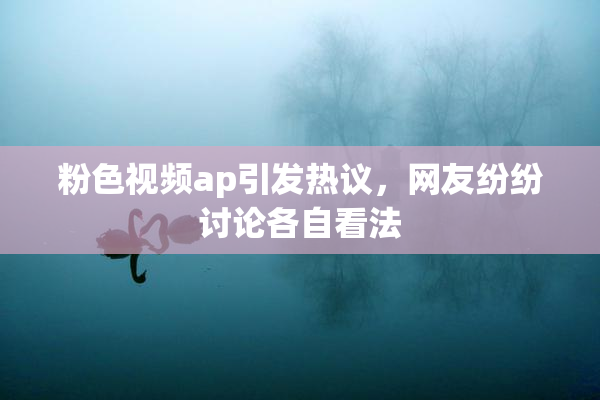 粉色视频ap引发热议，网友纷纷讨论各自看法