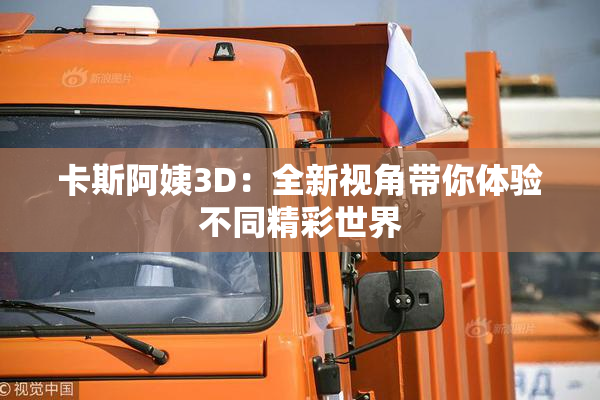 卡斯阿姨3D：全新视角带你体验不同精彩世界