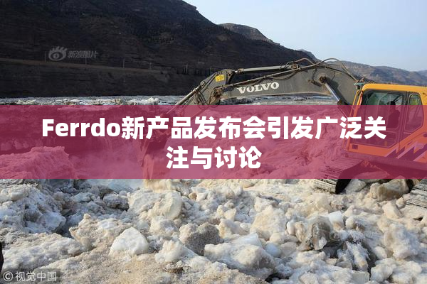 Ferrdo新产品发布会引发广泛关注与讨论