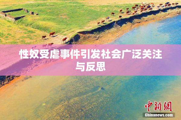性奴受虐事件引发社会广泛关注与反思