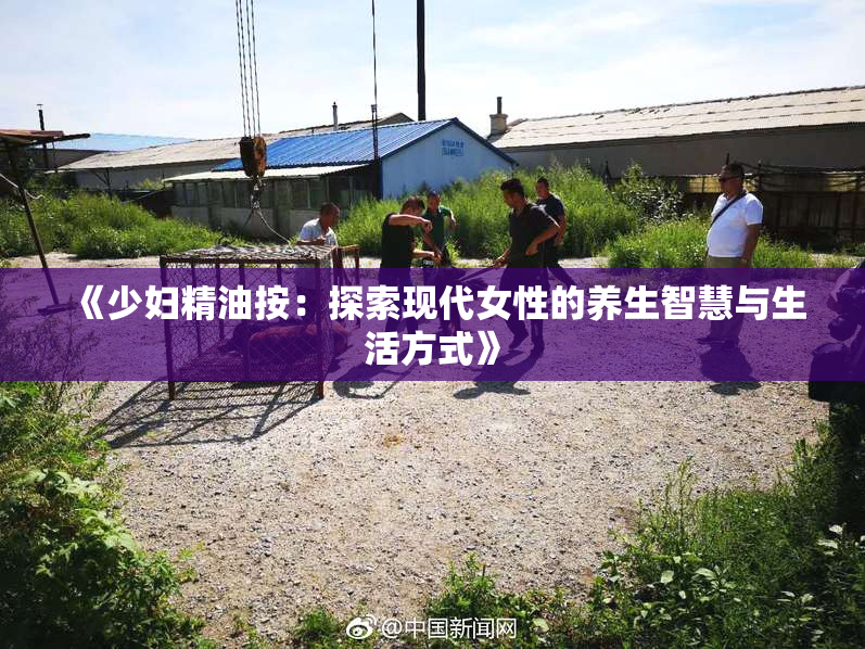 《少妇精油按：探索现代女性的养生智慧与生活方式》