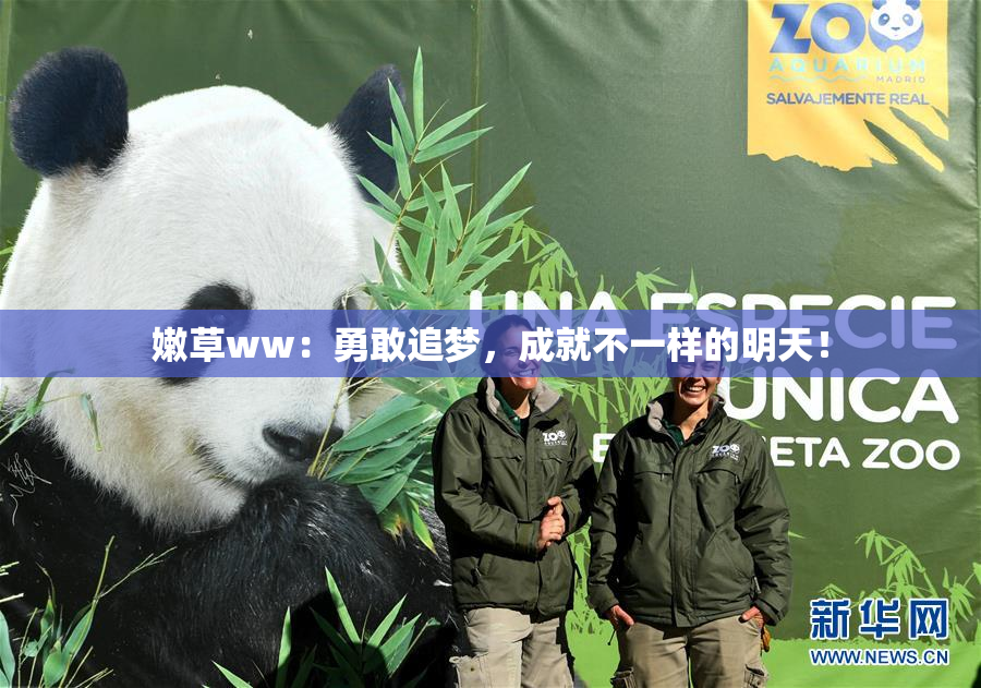 嫩草ww：勇敢追梦，成就不一样的明天！
